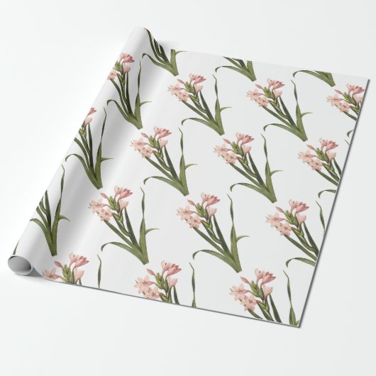 Gladiolus Bloem Patroon Cadeaupapier (Uitgerold)