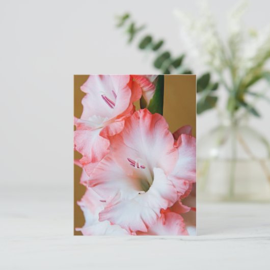 Gladiolus Briefkaart (Staand voorkant)