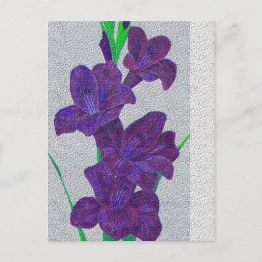 gladiolus briefkaart (Voorkant)
