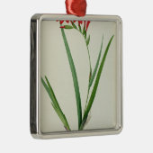 Gladiolus Cardinalis, uit "Les Liliacees", 1805 Metalen Ornament (Rechts)