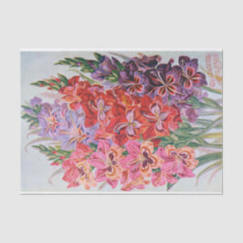 Gladiolus Colour  Floral Weefpapier Tissuepapier