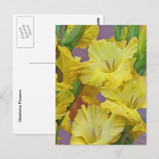 Gladiolus Flowers Briefkaart (Voorkant / Achterkant)