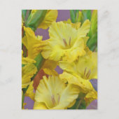 Gladiolus Flowers Briefkaart (Voorkant)