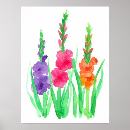 Gladiolus Flowers Paars Roze Oranje Waterverf Poster (Voorkant)