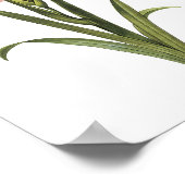 gladiolus (Gladiolus laccatus) van Redouté Poster (Hoek)