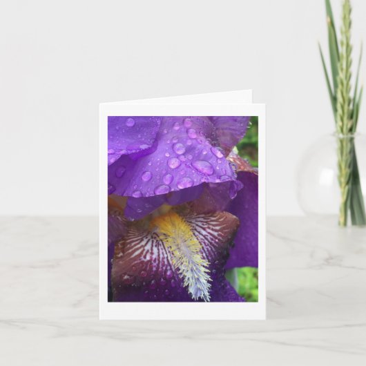Gladiolus in the rain bedankkaart (Voorkant)