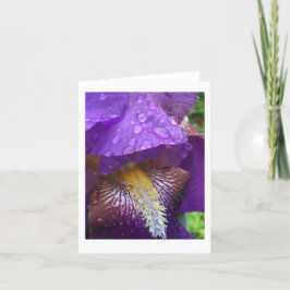 Gladiolus in the rain bedankkaart