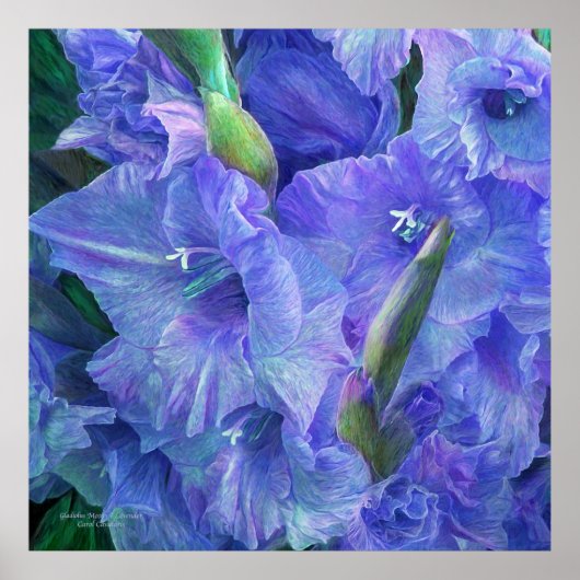 Gladiolus Moods - lavender Art Poster/Afdruk Poster (Voorkant)