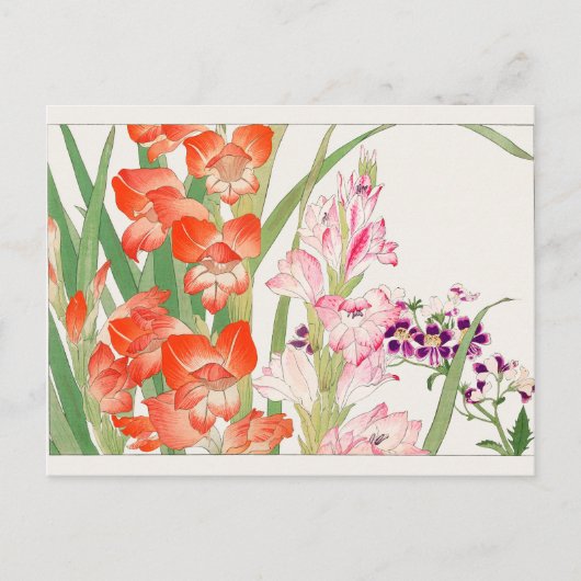 Gladiolus, Schizanthus door Tanigami Konan Briefkaart (Voorkant)