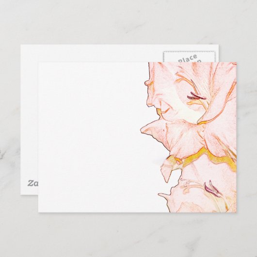 Gladiolus sketch briefkaart (Voorkant / Achterkant)