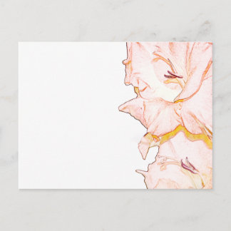 Gladiolus sketch briefkaart