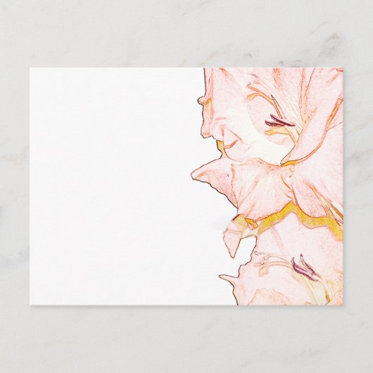 Gladiolus sketch briefkaart (Voorkant)