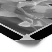 Gladiolus ventilator zwart en wit Abstract Poster (Hoek)