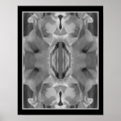 Gladiolus ventilator zwart en wit Abstract Poster (Voorkant)