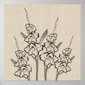 Glads Gladiola Tekening Canvas Flower Poster (Voorkant)