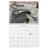 Gladys de Avontuur Muis 2025 Kalender (Mar 2027)