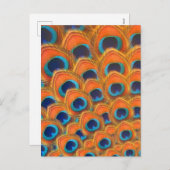 Glam Boho Oranje Blue Peacock Feathers Feestdagenkaart (Voorkant / Achterkant)