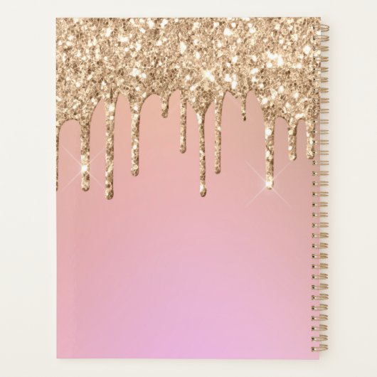 Glam Gold Glitter Drift Elegant Monogram Planner (Achterkant)