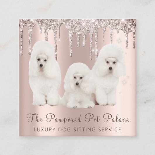 Glam Gold Roos Glitter Drift Poodle Pet Sitting Vierkante Visitekaartje (Voorkant)