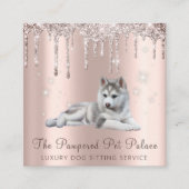 Glam Gold Roos Glitter Drift Script Pet Sitting Vierkante Visitekaartje (Voorkant)