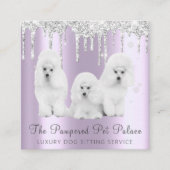 Glam Lavender Glitter Drift Poodle Pet Sitting Vierkante Visitekaartje (Voorkant)