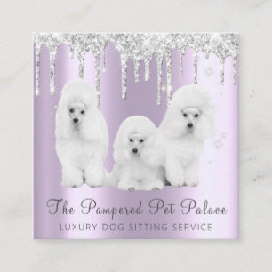 Glam Lavender Glitter Drift Poodle Pet Sitting Vierkante Visitekaartje