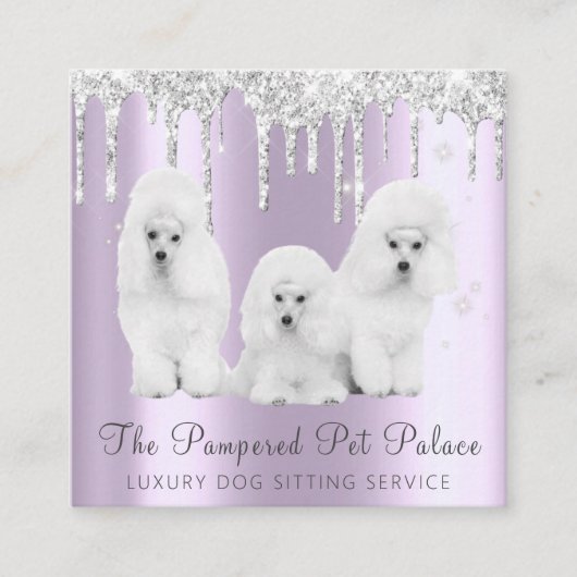 Glam Lavender Glitter Drift Poodle Pet Sitting Vierkante Visitekaartje (Voorkant)