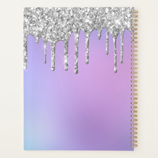 Glam Silver Glitter Drift Elegant Monogram Planner (Achterkant)
