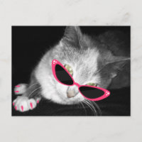 Glamour Cat Birthday Party Briefkaart Uitnodigen