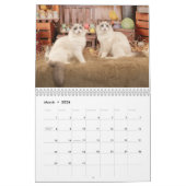 Glamoureuze Ragdoll Kittens Kalender (Mar 2026)