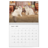 Glamoureuze Ragdoll Kittens Kalender (Mar 2027)