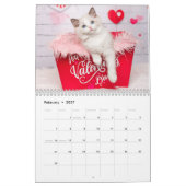 Glamoureuze Ragdoll Kittens Kalender (Feb 2027)