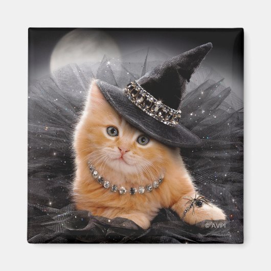 Glamoureuze Witch Kitten Magneet (Voorkant)