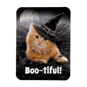 Glamoureuze Witch Kitten Magneet