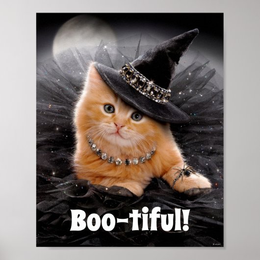 Glamoureuze Witch Kitten Poster (Voorkant)