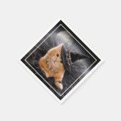 Glamoureuze Witch Kitten Servet (Hoek)