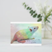 Glans! Briefkaart (Staand voorkant)