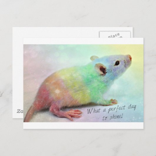 Glans! Briefkaart (Voorkant / Achterkant)