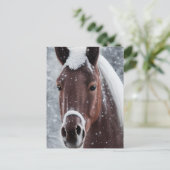 Glanzend glad glas Zoek Paard Feestdagenkaart (Staand voorkant)