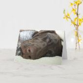 Glanzend Grijs Wenskaart Kaart (Gele Bloem)