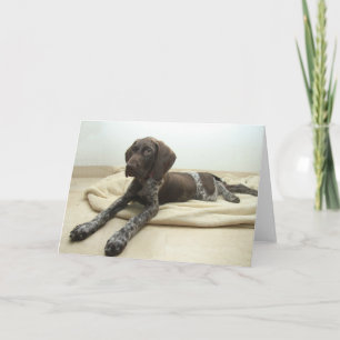 Glanzend Grijs Wenskaart Kaart