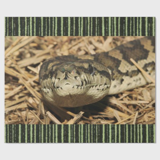 Glanzend inpakpapier Snake (Vlak)