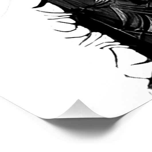 Glanzend kattenPoster Perfect Poster (Hoek)