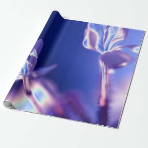 Glanzend lavendel- en blauw inpakpapier