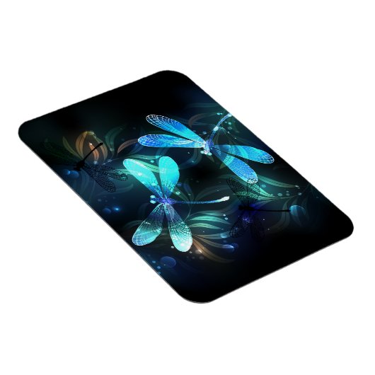 Glanzend meer van de libellen magneet (Rechterzijde)