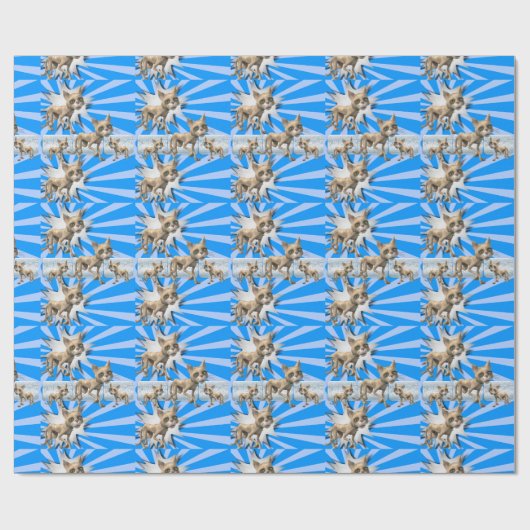 Glanzend omslagpapier, blauwe kat cadeaupapier (Vlak)