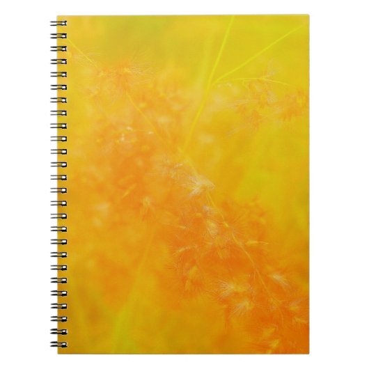 Glanzend Oranje Notitieboek (Voorkant)