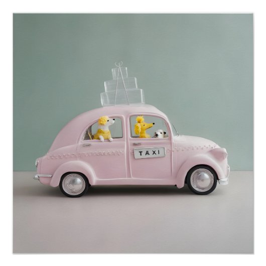 glanzend perfect poster (Voorkant)