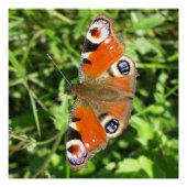 Glanzend Poster (Voorkant)