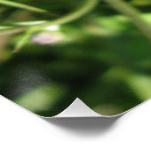 Glanzend Poster (Hoek)